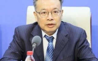 一、一级域名的定义与构成