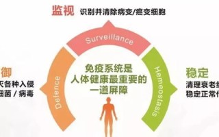 如何在单台电脑上创建2000个虚拟主机，全面指南与最佳实践