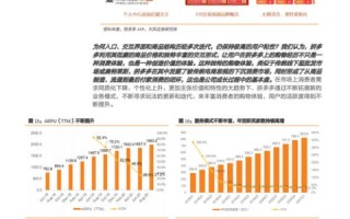 紫田网络，稳定基石下的高效发展之路