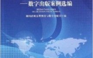 创新引领未来，王子科技的实践探索与启示