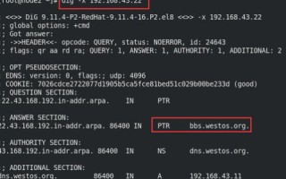 域名服务DNS，解析与查询主机MAC地址的奥秘