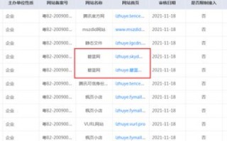 双域名备案未建站，潜在影响与应对策略