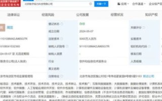 新网网址与域名价格解析，探索数字时代的网络基石