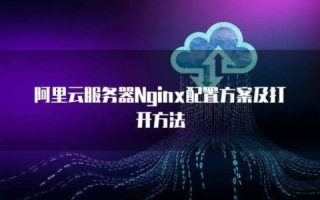 阿里云已购买虚拟主机还可以安装Nginx服务器吗？