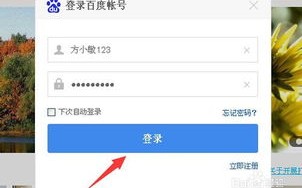 百度空间个性域名，解锁专属网络身份的密钥