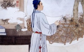 解析飞虎数据评测，精准数据驱动决策的实践与成果