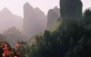 游戏界巨人，大巨人网络的崛起与未来展望