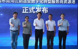 腾飞数据引领数字化浪潮，探索大数据时代的机遇与挑战