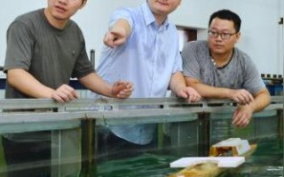 网络科技，耀网科技引领未来数字化革命