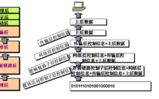 理解TCPIP协议的概念及IP数据报的格式、IP地址、子网掩码和域名