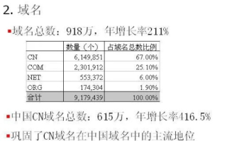 中文域名网站资源分析，探索中文互联网的新蓝海
