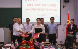 动力运转是否有效，从应会动力到实际应用的探索