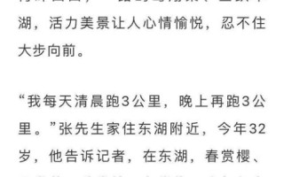 凌科网络使用体验，一位普通用户的深度探索