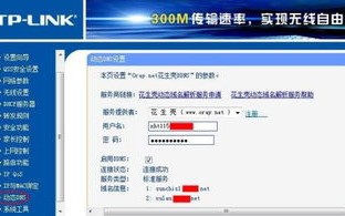 什么是.net域名？