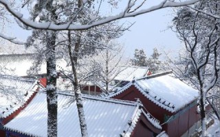 深入解析中国福网测评，互联网时代的福利评估新标杆