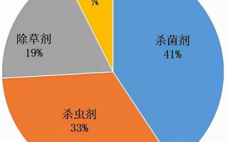 上海网域网评估与分析，构建高效、安全的网络新生态