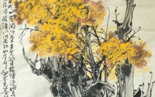注册哪种CNNIC域名比较好，全面解析与选择指南