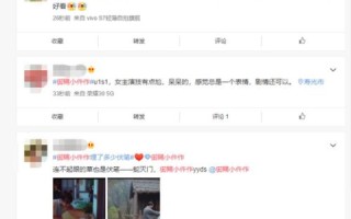 中国意网评测，语言与文化的桥梁