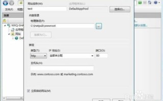 申请花生壳域名并设置IIS，实现本地服务器访问