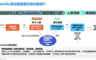 畅通网络评测，优化网络性能，提升用户体验的策略与案例分析