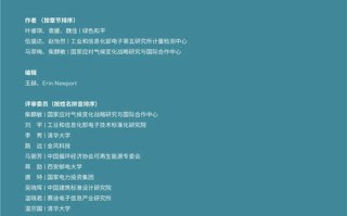 爱萍数据，解锁数字时代的卓越表现与无限潜力