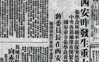深度解析，东北数据中心评测—性能、稳定性与可持续发展的全方位考量