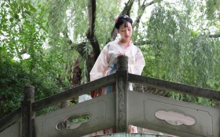 深度解析微盈网络，从技术创新到用户体验的全面剖析