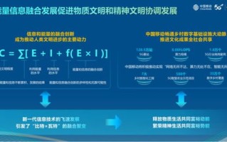 华月互网与西部数码的香港主机，用户体验与评价