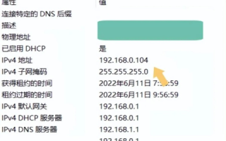 tk域名绑定失败，解析主机名和IP均无效，浦东信息免费空间IP问题探讨