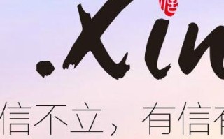 通用网址与中文域名，并非简单的竞争关系