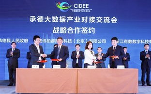 迪信科技，构建稳定基石，引领科技创新的坚实步伐