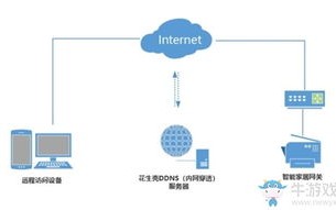 花生壳内网域名转发问题详解与解决方案