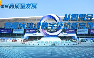 重庆建站，稳定与发展并行的数字新篇章