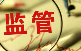 域名IP备案与解析，打造专业网站的全面指南