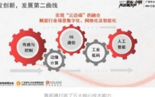 雷泰互联官网，连接世界的桥梁，重塑数字化未来的先锋