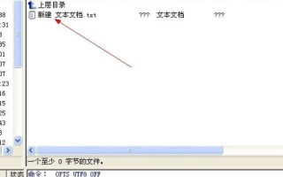 在Ucoz申请域名和空间后，用FTP上传网页的详细指南