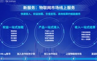 IDC网，探索数字化转型的新疆域