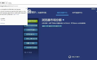 IE70是否可直接访问中文域名，探索浏览器与国际化域名的兼容性