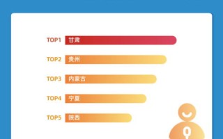 西部数码，用户体验、优势与挑战