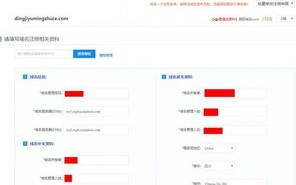 申请到顶级域名后怎么办，全面指南