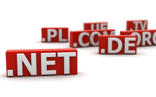 探讨.NET域名注册中的常见问题与解决方案