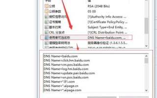 地址栏输入监控域名打不开，要通过百度搜索才能打开，原因与解决方案