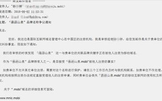 什么是域名的商标特性