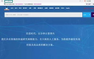 网络上的域名的后缀，探索其背后的意义与多样性