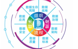正龙数据，打造信任基石的全方位数据服务公司