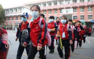 深入剖析WeHostFast，优质、高效的主机服务体验