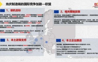 全面解构八一数据，优势、挑战与未来发展展望