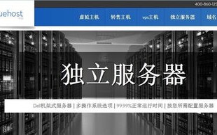 国内受欢迎的虚拟主机服务商解析，为何选择某家服务商成为行业首选
