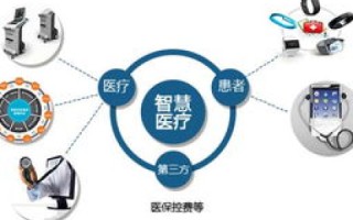 最稳定的免费空间，探索免费托管服务的优势与局限