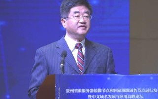 西部数码域名解析的几种设置方法介绍